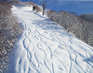 Ushikubi- the cows neck.