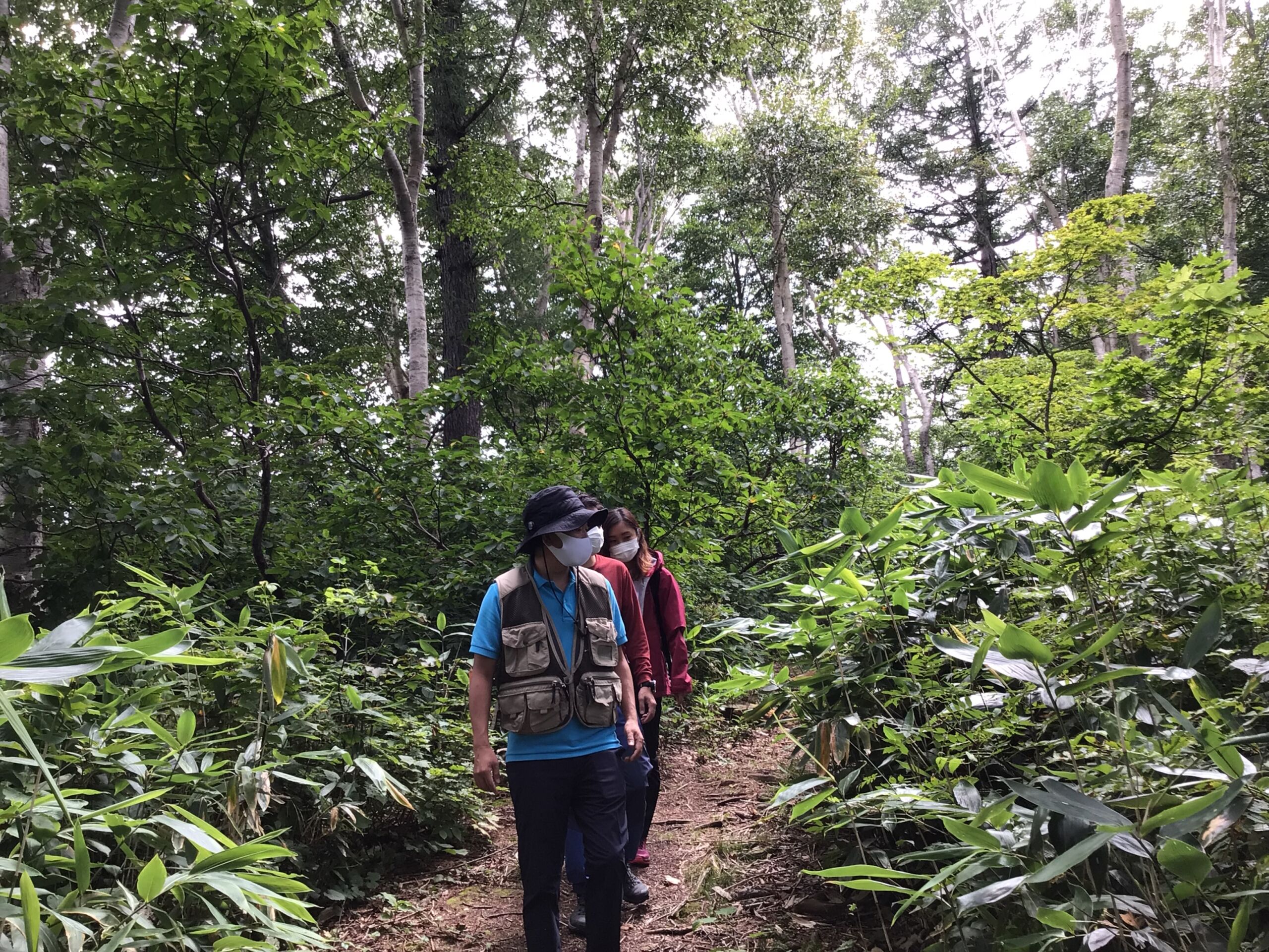 Nozawa Onsen Tours : Hiking