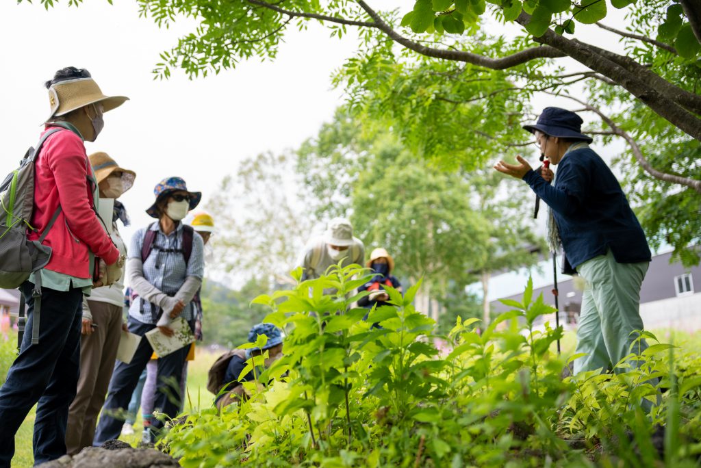 Uenotaira Picnic Garden 「Flower Guide Tour」🌼