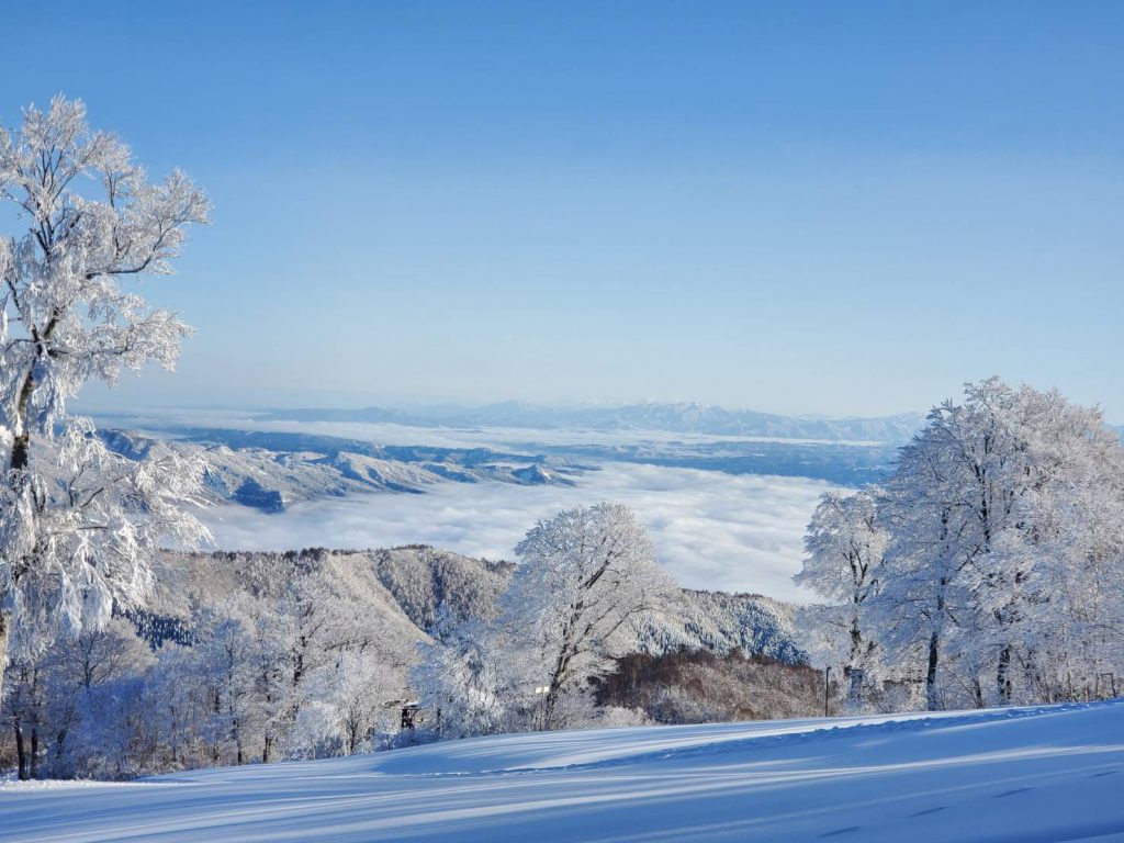 Nozawa Onsen Ski Resort OPENS !!!!🎊