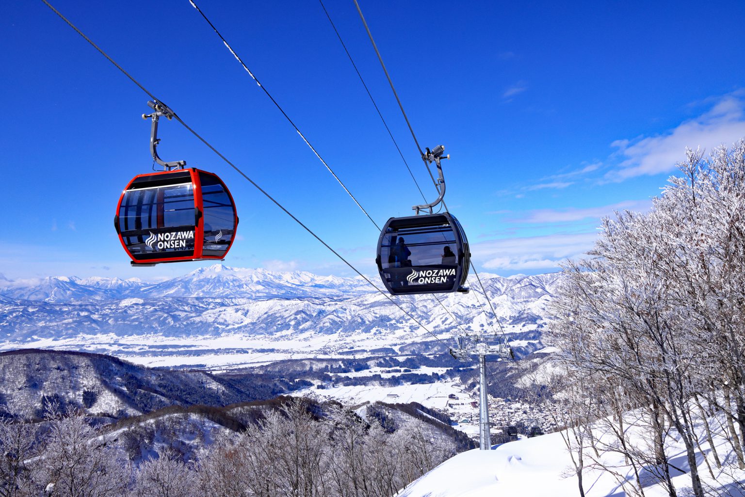 ◆SNOWNAVI for article about Nozawa Onsen Ski Resort