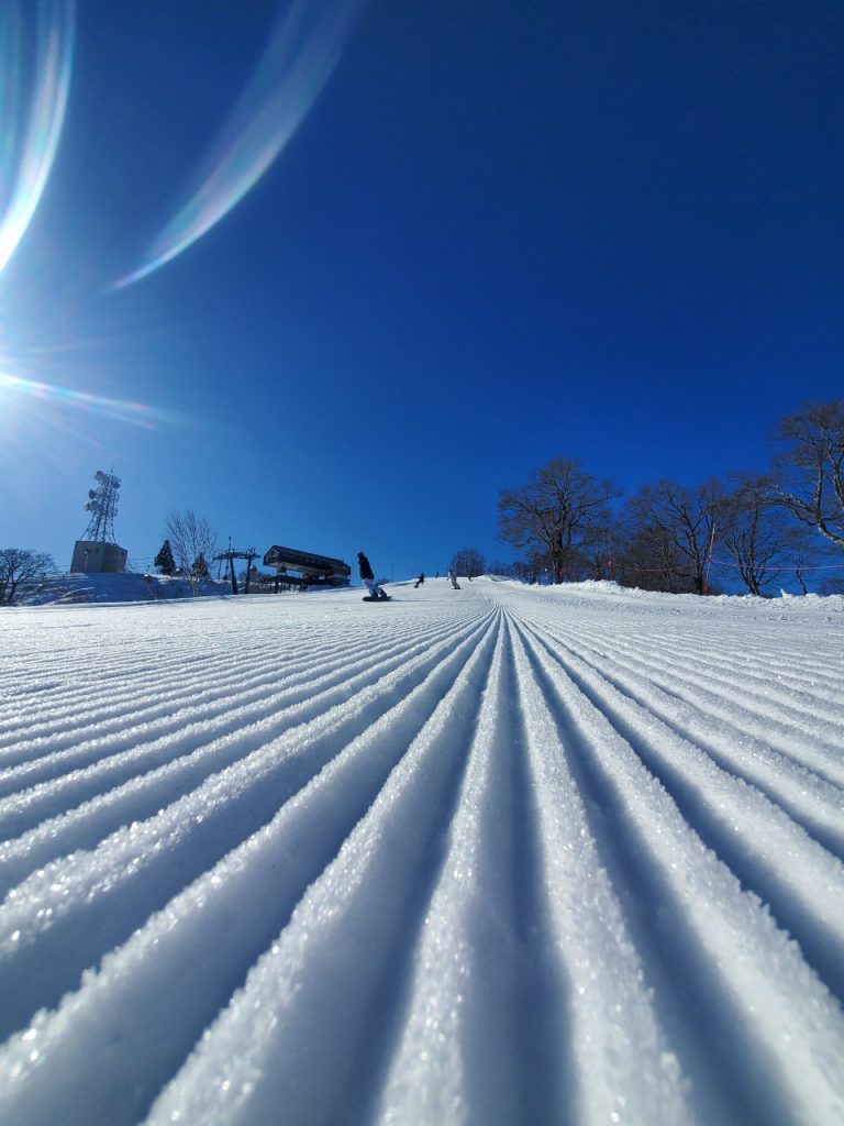 Announcement: Operations for February 14 – 15 (Sat–Sun)