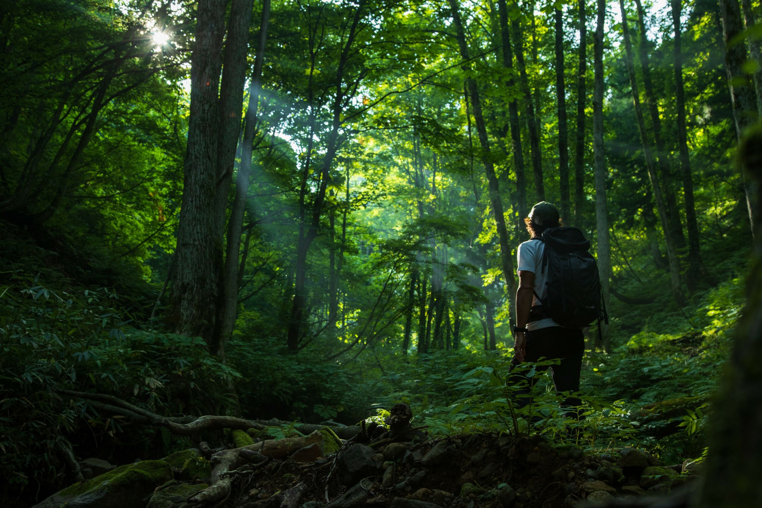 Experience the Mountain