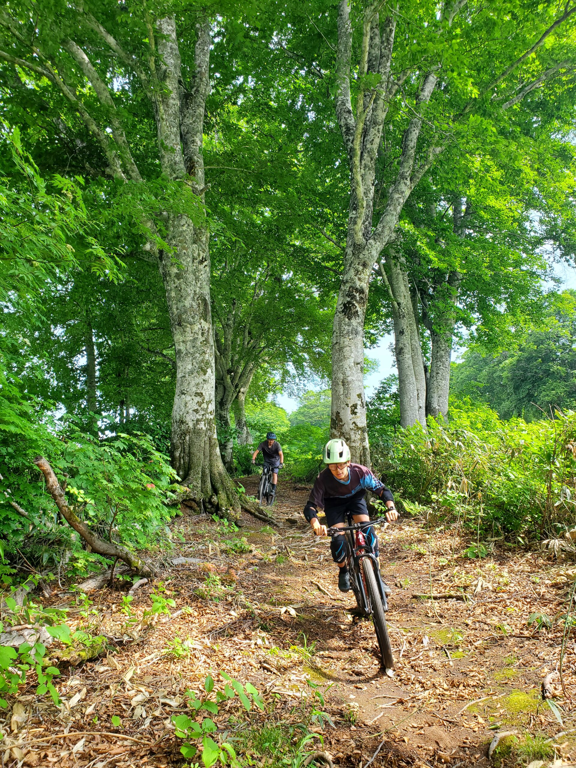 2026 MTB Season Pass Sales Now Open!